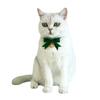 Cat Collar Adjustable Quick Release Super Soft Friendly To Skin Easy-wearing Dress Up Velvet
