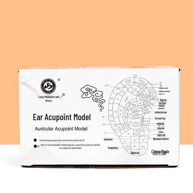 13cm-18cm Ohr Akupunkturpunkt Reflexzonenmodell für Akupunktur und Meridiantherapie