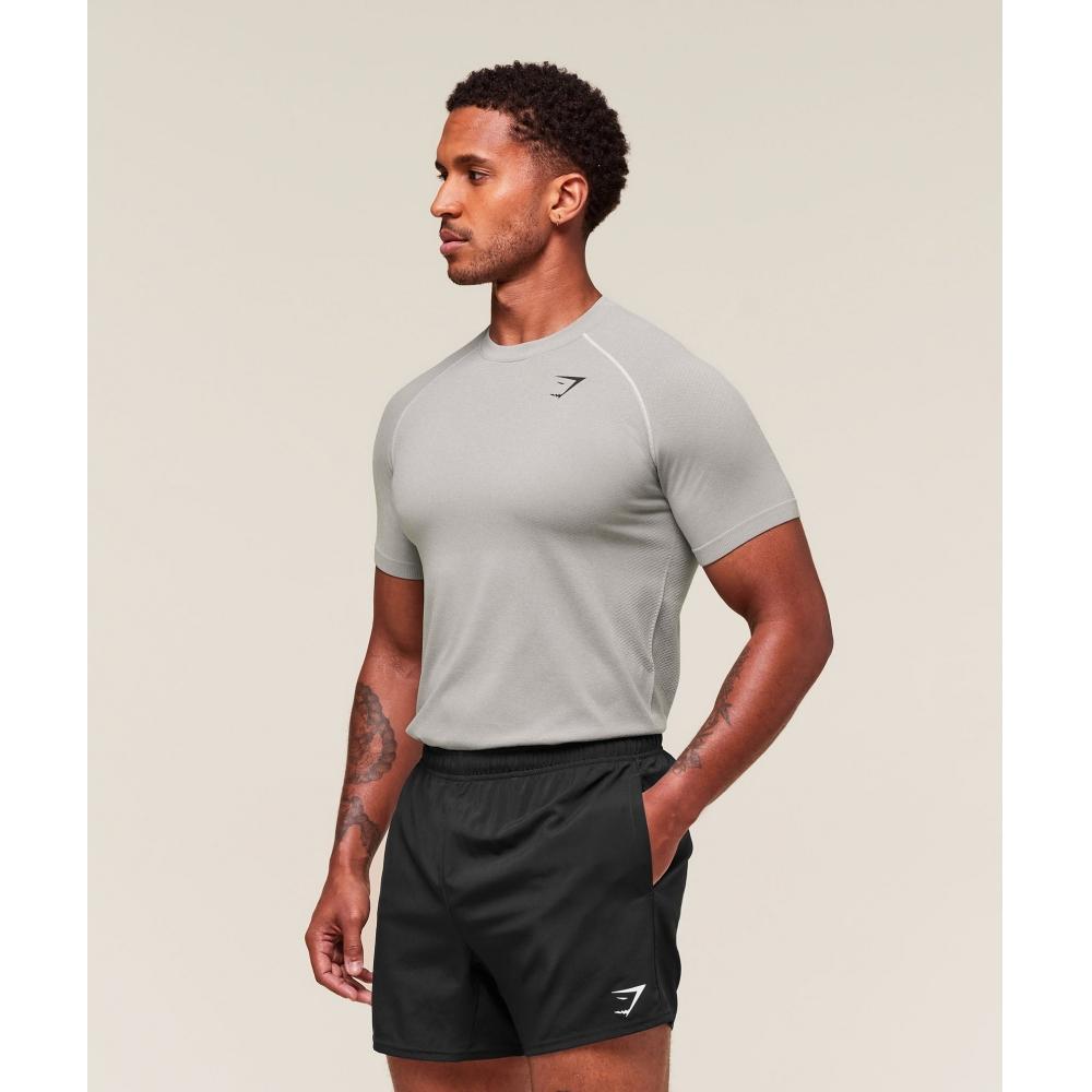 Gymshark ViTal Seamless T shirT lighT Grey Smokey Grey A2b5p Gb8v