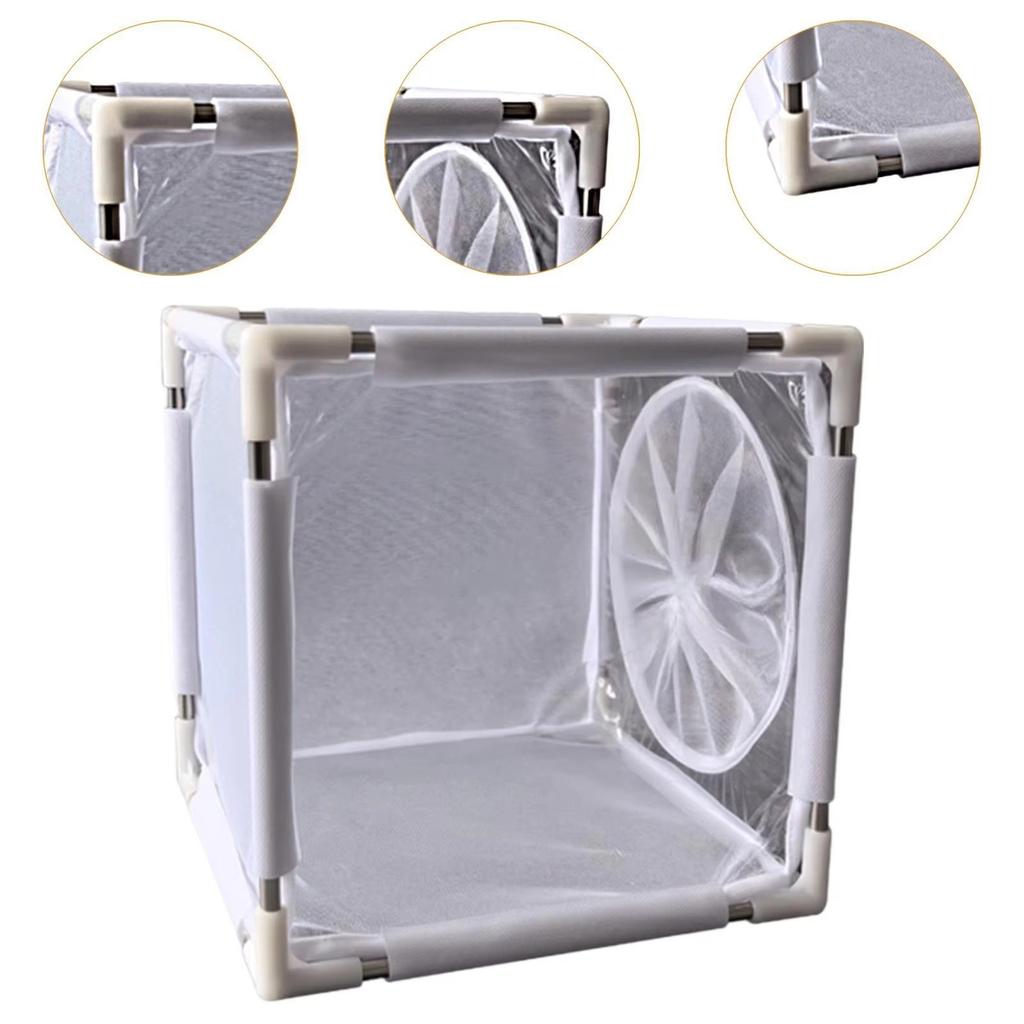 Removable Stainless Steel Frame Mesh Cage Insect Breeding Observation Cage Hatching Net Cage