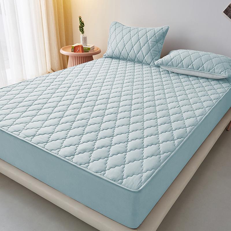 Waterproof Quilted Fitted Mattress Protector,Stain Resistant Mattress Cover,Soft Protective Bedding Mat Noiseless Mattress Cover