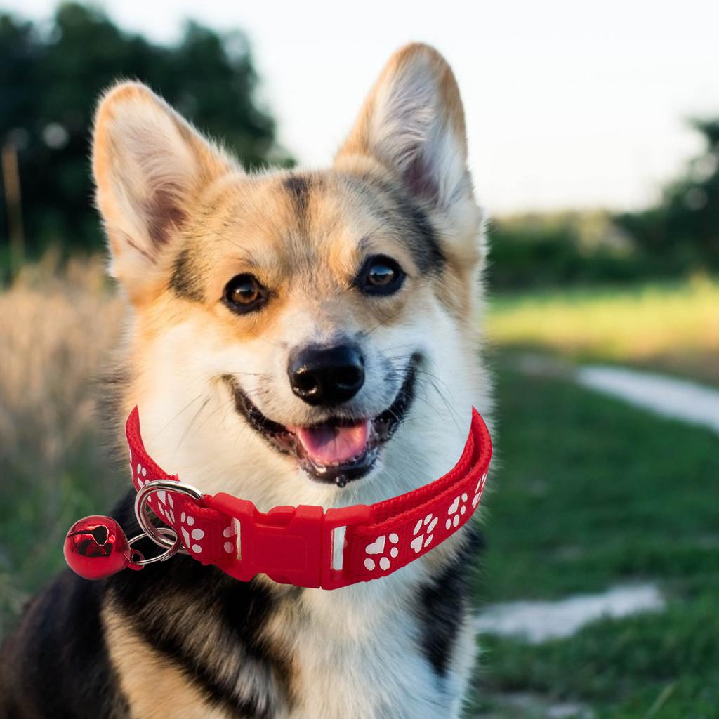 Collar de perro accesorios decorativos anti-perdidos para la cuerda de  mascotas comprar a buen precio — entrega gratuita, reseñas reales con fotos  — Joom