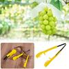 Grape Bud Thinning Clip Pruning Tool for Vineyards Management Lightweight Plastic Grape Cluster Trimmer for Gardening