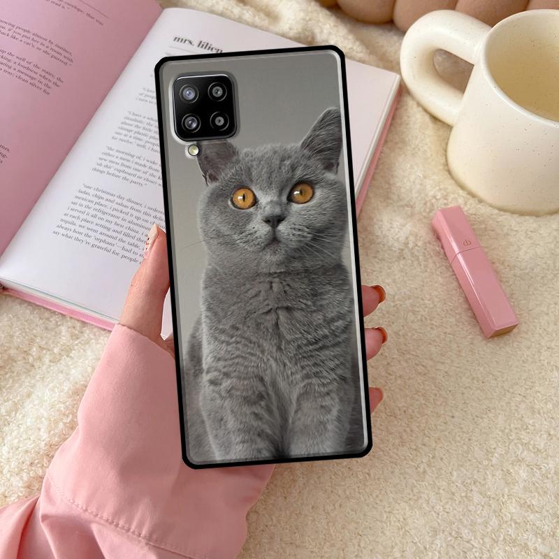 British Shorthair Cat For Samsung Galaxy A56 A54 A34 A14 A06 A16 A26 A36 A12 A32 A52 A13 A33 A53 A15 A35 A55 Case