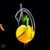Cigno Vetro Cocktail Birra Succo Whiskey Bicchiere Bicchiere Martini Bar Festa Regali Strumenti Matrimonio