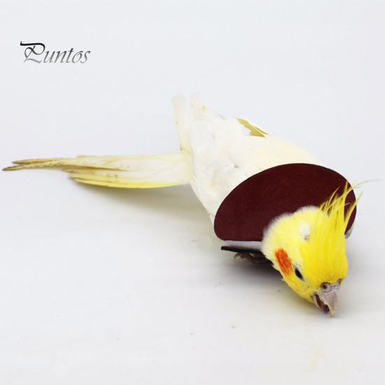 Adjustable Parrot Recovery Collar Anti-Biting Injury Protection Fastener Tape Fixing Bird Collar Pet Bird