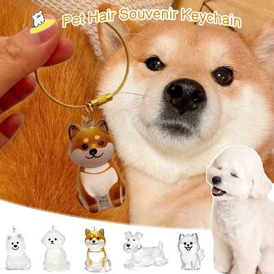 Oblečky a obuv – Doplňky pro psy