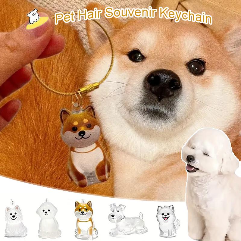 1PC Keychains Cute Pet Souvenirs Gifts For Pet Lovers Widgets DIY Bag Pendants Pet Lovers Pet Hair Storage Funny Pet Hair