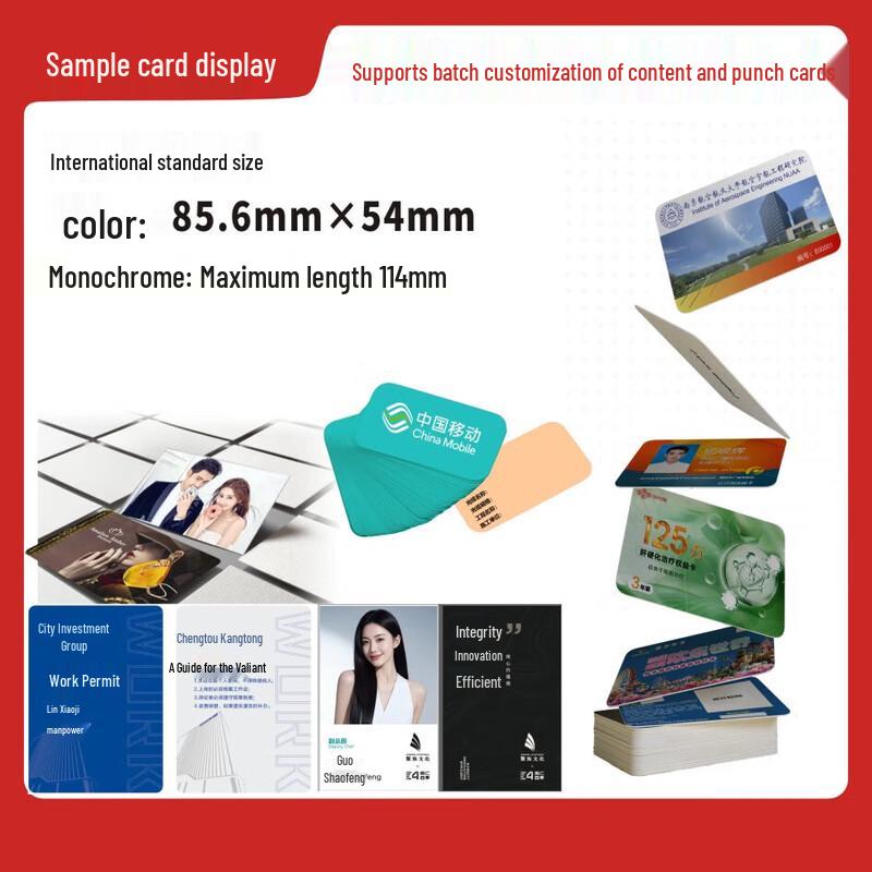 SEAORY S20 Dual-Sided PVC Card Printer CN plug (adapter included)