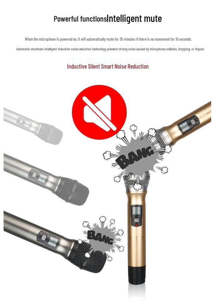 UHF Wireless Dual Microphone System for Home, Stage, and KTV Audio Equipment