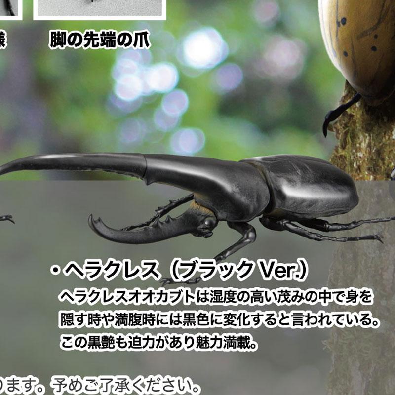 

Japan So-Ta Hercules Beetle 1:1 Scale Dynastinae South American Beetle Insect Model 18 CM чёрный