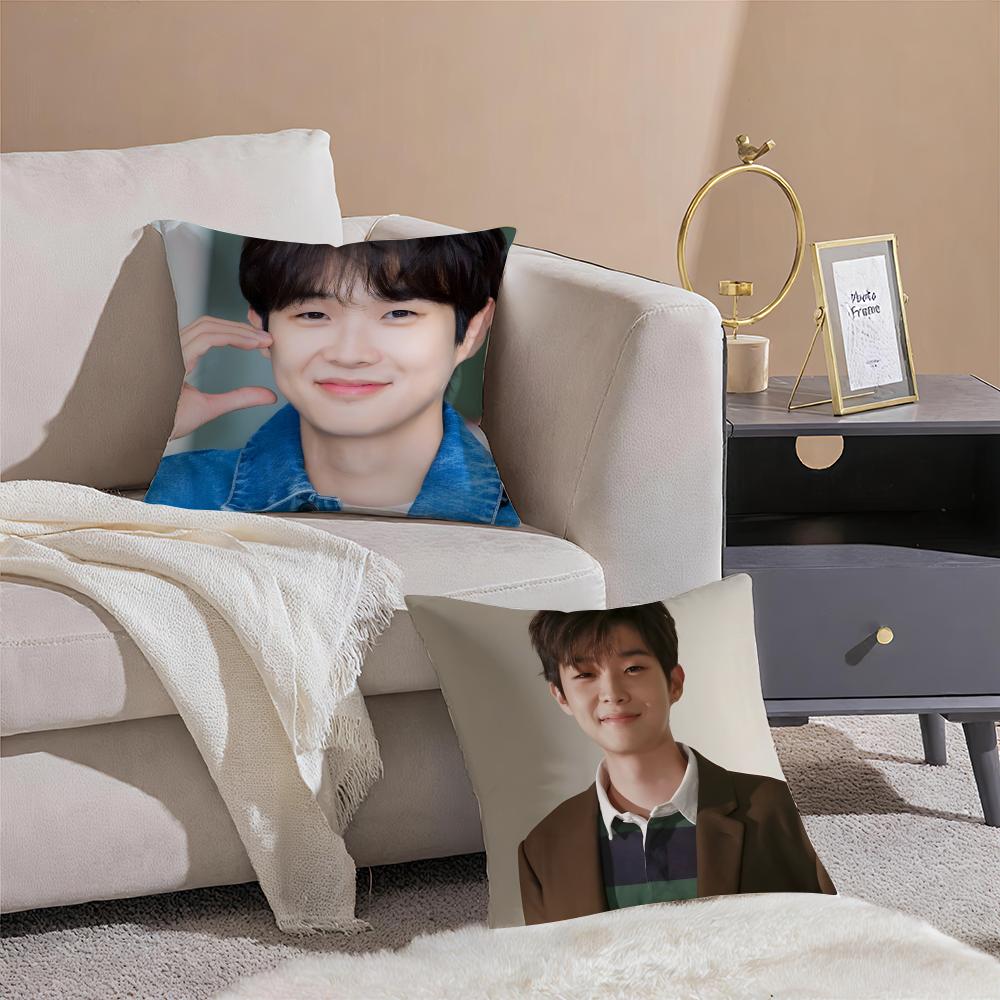 Talented Korean Actor CChoi Wooshik Cushion Cover Pillowcase Short Plush Invisible Zipper Room Sofa Cushion Cover