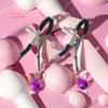 1 Pair Adult Nipple Clamps Metal Milk Clip Breast Clitoris Massage Sex Toy For Couples Novelty Lover Game Female Sex Toys
