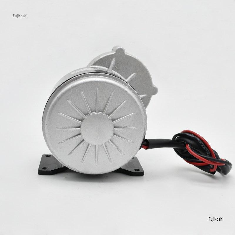 MY1016Z2 DC Brushed Motor: 250W/350W, 12V/24V/36V Modified Bike Reduction Motor