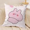 Cartoon Cute Asamimichaan Cushion Cover Silky Short Plush DoubleSided Printed Pillow Case for Sofa All Seasons Home Decor Gift