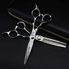 6.5.6.0 inch LH02 pattern double-sided sword hair scissors, hair scissors flat cutting teeth scissors H