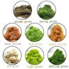 8mm 20g Simulated Grass Powder for Bonsai, Miniature Landscapes, Rockery, and DIY Moss Paving Models