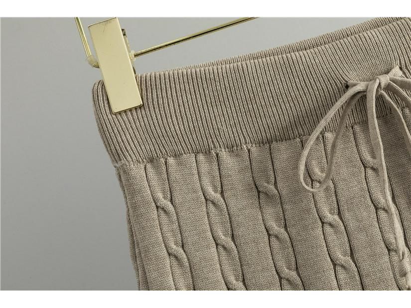 Korean-Style Two-Piece Set: Polo Collar Cable Knit Top & Sweater Skirt for Spring/Autumn