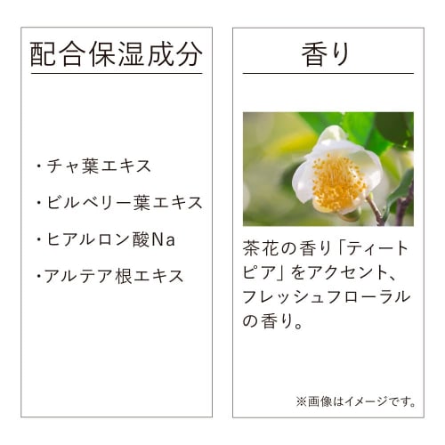 Kanebo Veil of Day Serum 40g