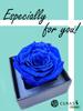 CURAS Preserved Rose Flowers with Natural Diamond and Glitter (Blue, White Box)