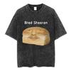 Ed Sheeran European Tour 2025 Vintage Washed T Shirts Mens Women Clothing Cotton Casual Short Sleeve Tshirt Fashion Tee Shirts
