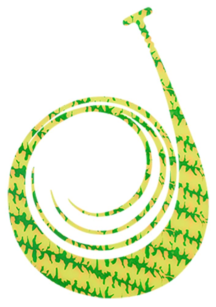 JACKALL Bing Bead Custom Tie King Curly Parrot Chart -