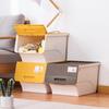 CHAHUA Slanted Flip-Lid Storage Box