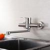 TLXT Stainless Steel Wall-Mounted Kitchen Faucet