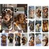 Phone Case Carcasa Funda For iPhone 17 Pro Max 17 Air 16 15 14 13 Pro Max 15 16 Pro 15Plus Dachshund Dog