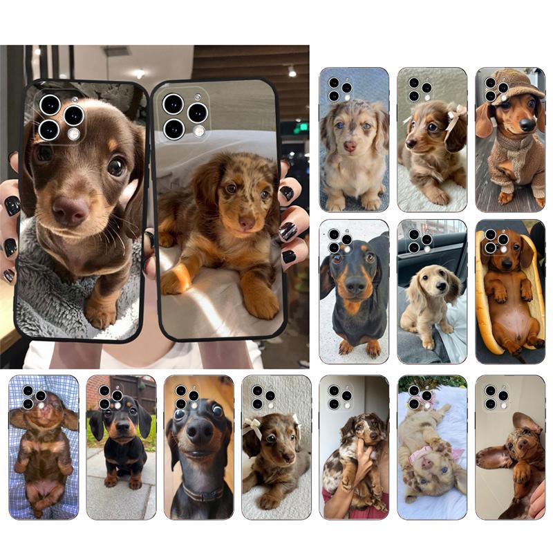 Phone Case Carcasa Funda For iPhone 17 Pro Max 17 Air 16 15 14 13 Pro Max 15 16 Pro 15Plus Dachshund Dog