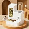 Large Capacity Hamster Water Bottle No Drip Food Water Dispenser Pet Water Kettle  for Rat Rabbit