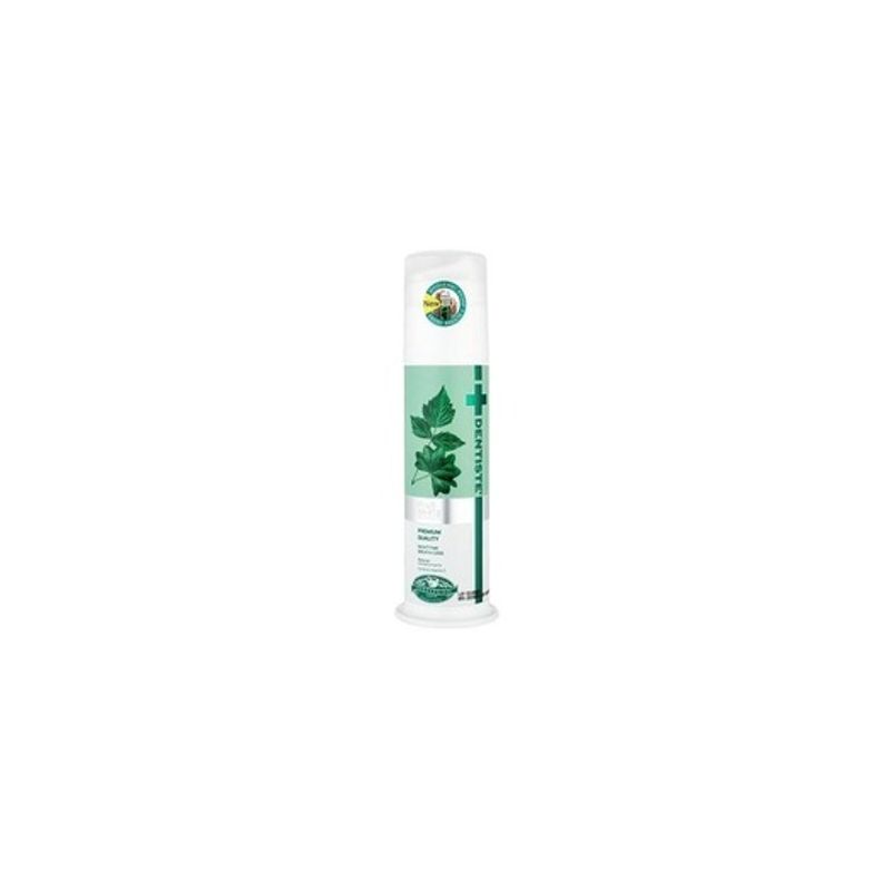 Dentiste [Dentiste] New Plus White Pump Toothpaste 120g