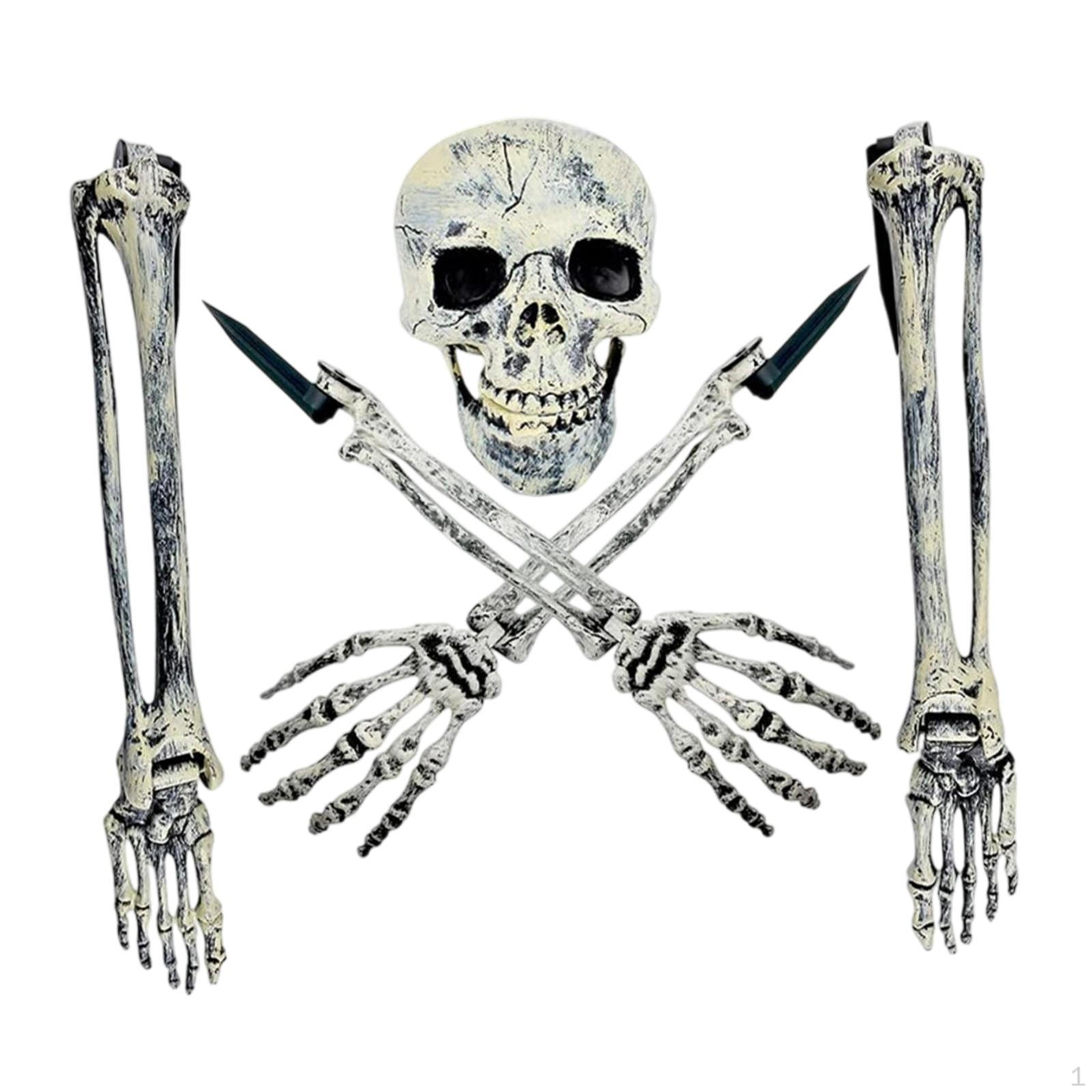 

5 Pieces Halloween Skeleton Stakes Realistic Creepy Lawn Graveyard Outdoor Props Unique