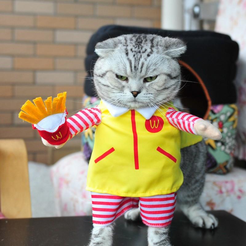 Funny Pet Dog Costume Standing Cosplay Outfit Small Medium Large Dogs