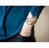 Часы Calvin Klein TIMELESS MESH MF 25200102