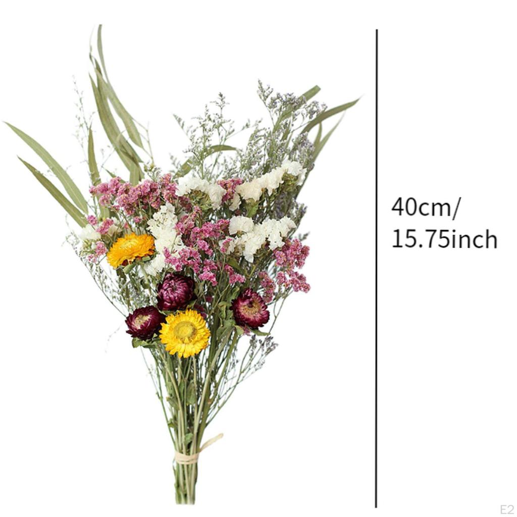 Eucalyptus Daisy Dried Plants Flower Ornaments Handmade for Heimwerken Vase Wedding Party