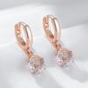 Rose Gold Color Drop Earrings For Women Fashion White Natural Zircon Accessories Daily Fine Jewelry Crystal Gift