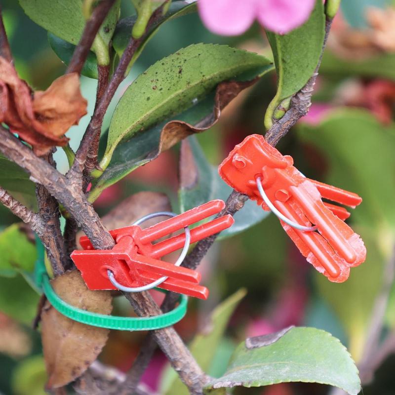 100pcs Garden Tool Graft Clip Graft Clamp For Novice Enthusiast Stable Connection Versatile Ample Quantity Plastic