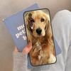 Cocker Spaniel Dog Case For Honor Magic 5 6 7 8 Pro Cover For Honor 200 400 Lite 50 70 90 X8a X8b X9a X9b X9c