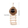 Coconut Bird Hide with Ladder, Hideout, Birds Hut Portable Nest for Budgies Hamster Canary Parrot