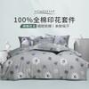 High Count 100% Cotton Four Piece Set