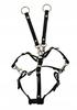 Pieptar pentru hobby horse - diverse culori