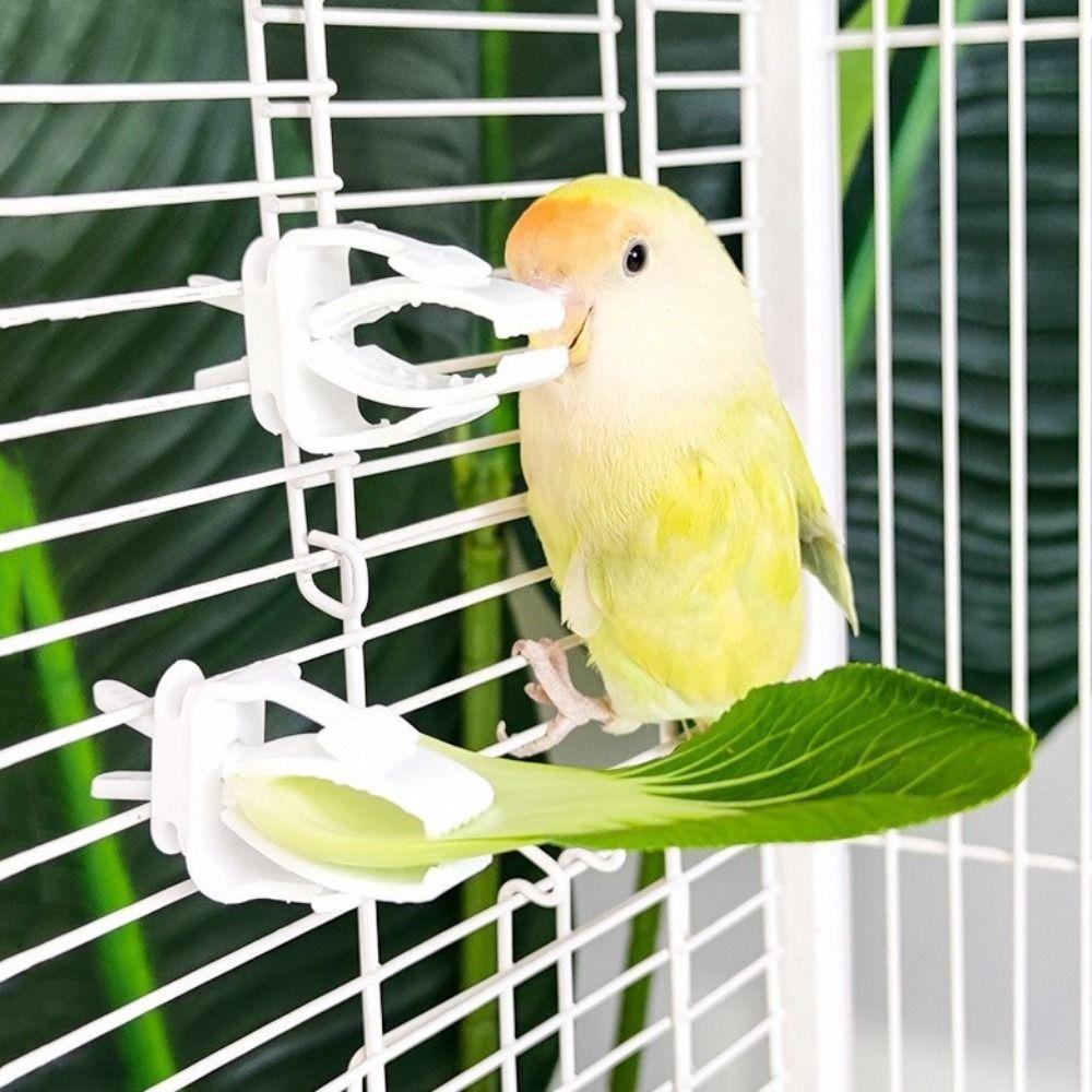 6Pcs Mini Pet Bird Food Clip Plastic Parrot Fruit Vegetable Clip  Pet Parrot Feeding