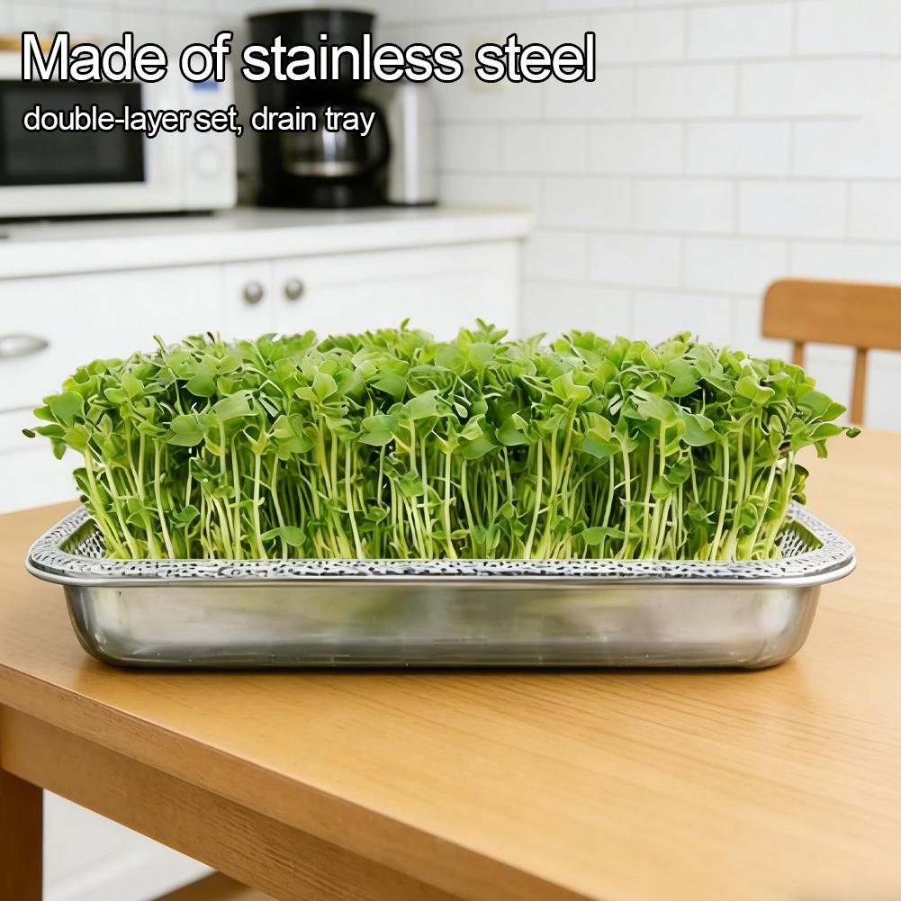 Reusable Cultivation Tool For Hydroponic Indoor Horticulture Stainless Steel Plant Germination Tray