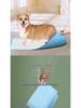 Adhesive Dog Pee Pads: Thick, Absorbent, Disposable, Deodorizing Diapers