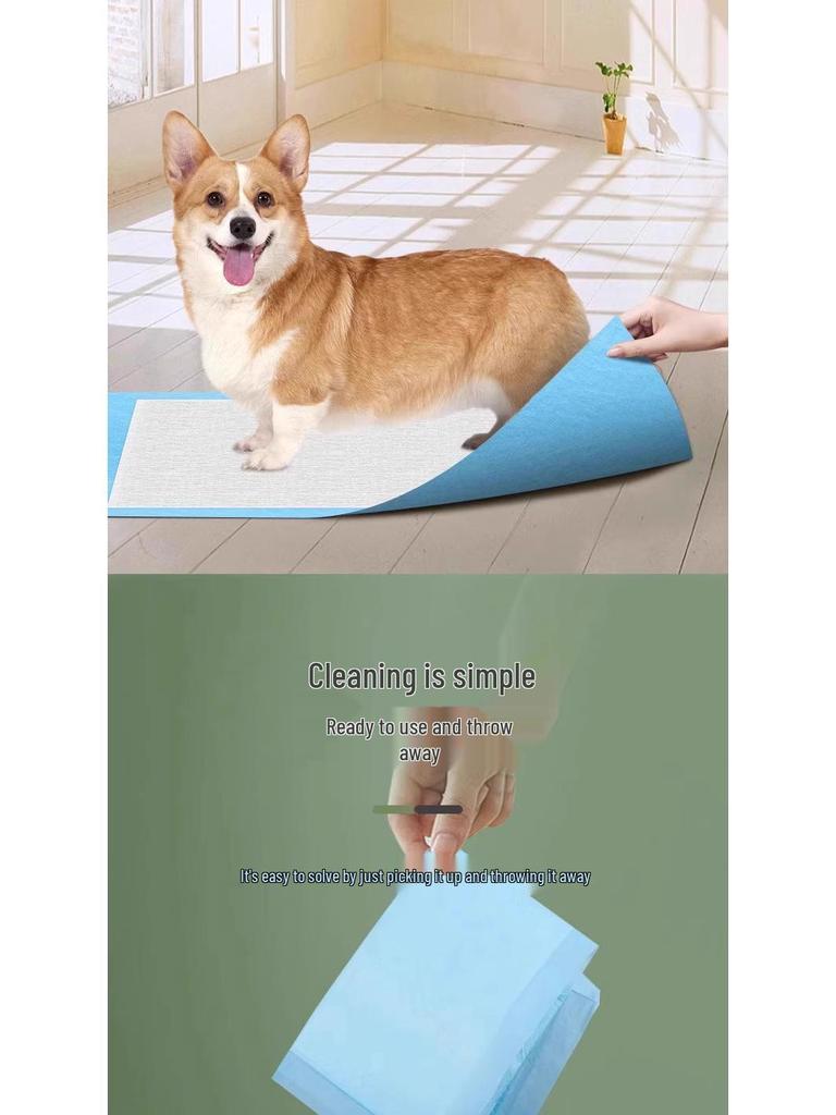 Adhesive Dog Pee Pads: Thick, Absorbent, Disposable, Deodorizing Diapers