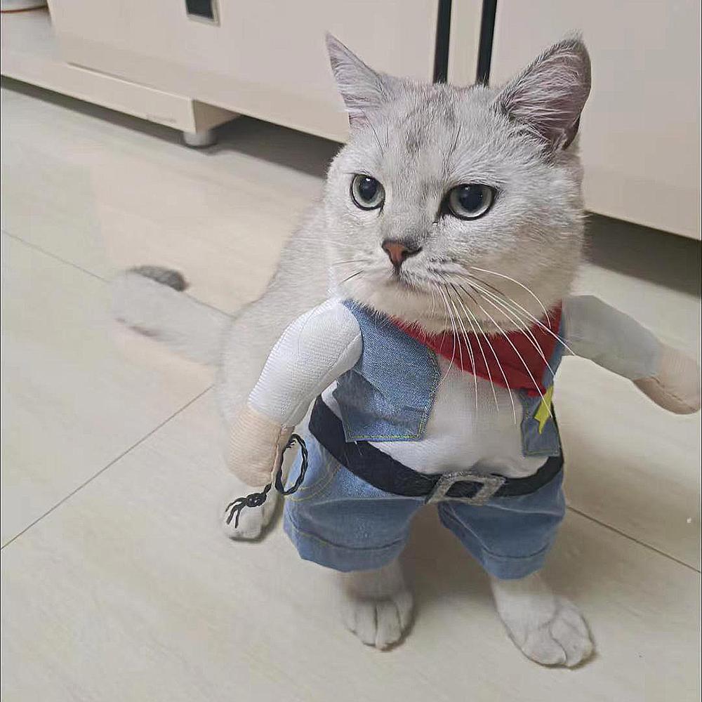 Funny Cat Clothes Halloween Cosplay Cowboy Pet Costume For Small Medium Dogs Cats Novelty Kitten Puppy Party Dress Up Outfits