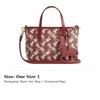 COACH City Artificial Leather Tote One Shoulder Handbag Mini Women's Ruby Red CDD02-IMWGD