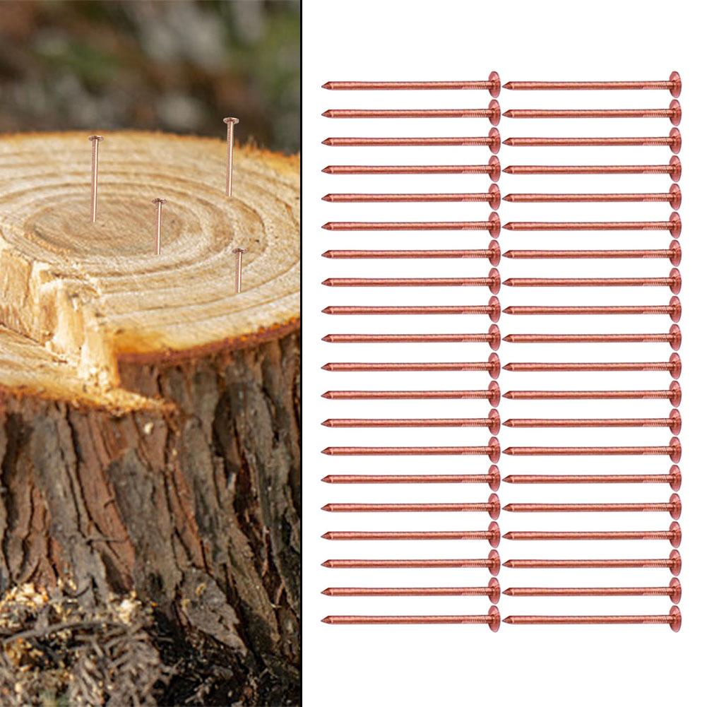 Copper Tree Stump Killer Stump Removal Spikes Fast Acting Solution