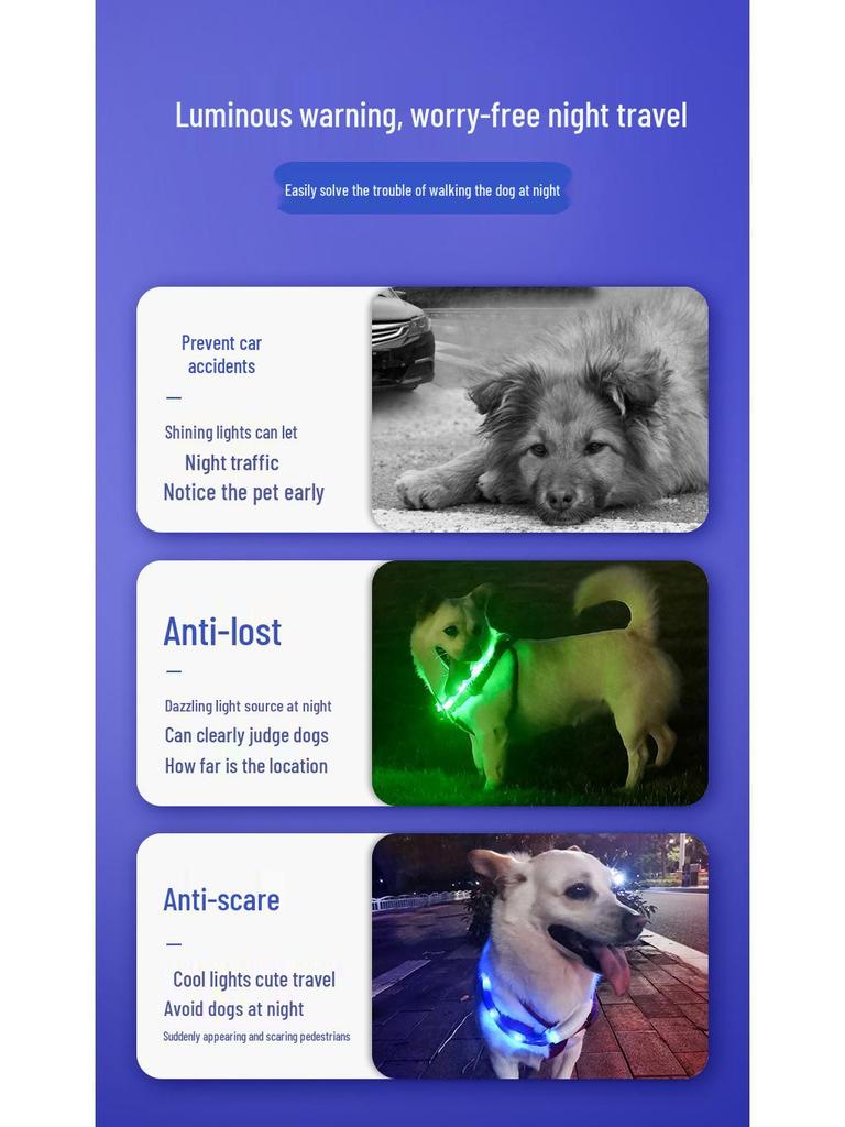 Rechargeable LED Glowing Collar for Dogs and Cats - Nighttime Safety Necklace